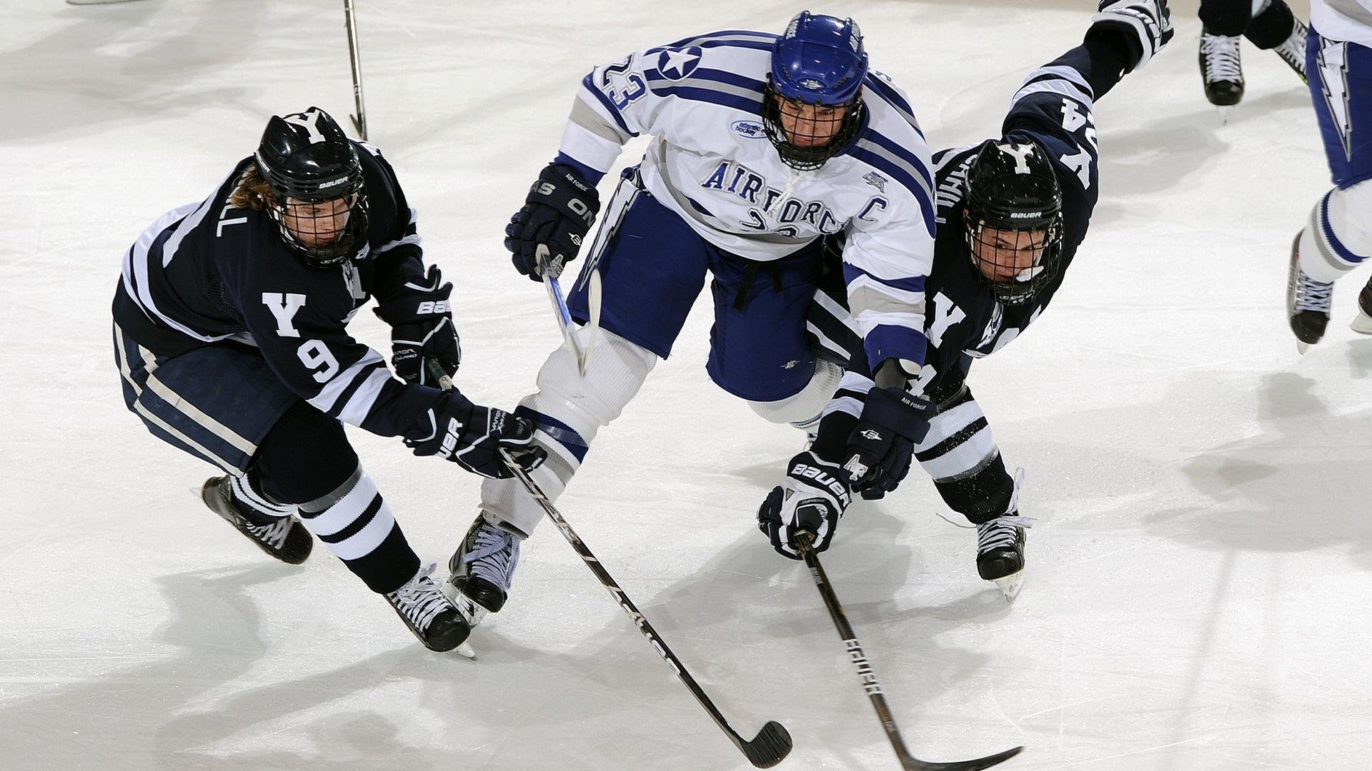 生态探险跑：绿色环保新趋势，生态挑战